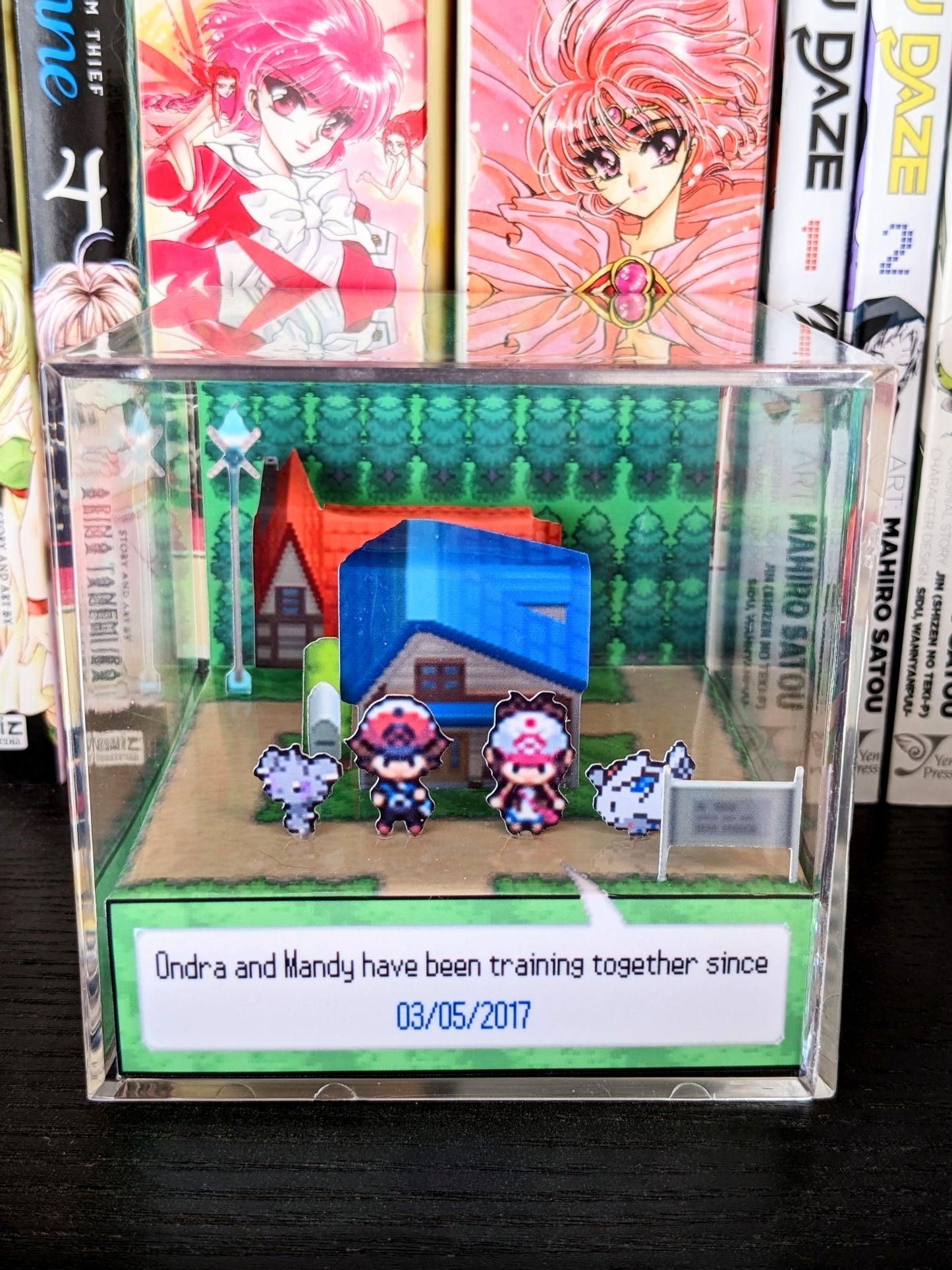 CUSTOMIZABLE Pokemon Black and White 3D cube diorama