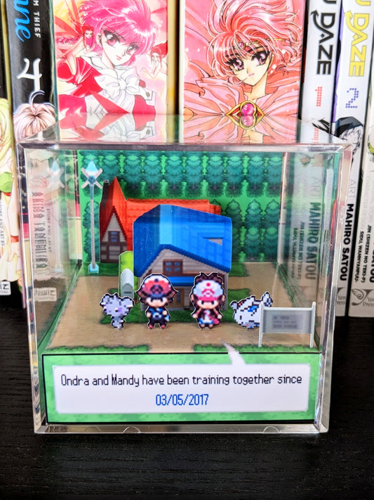 CUSTOMIZABLE Pokemon Black and White 3D cube diorama