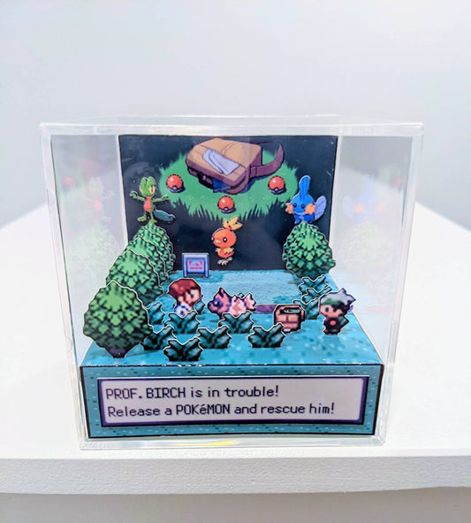 Pokemon Emerald 3D cube diorama: Choose your starter Pokemon - Sapphire/Ruby/Emerald (Customize between Brendan or May)