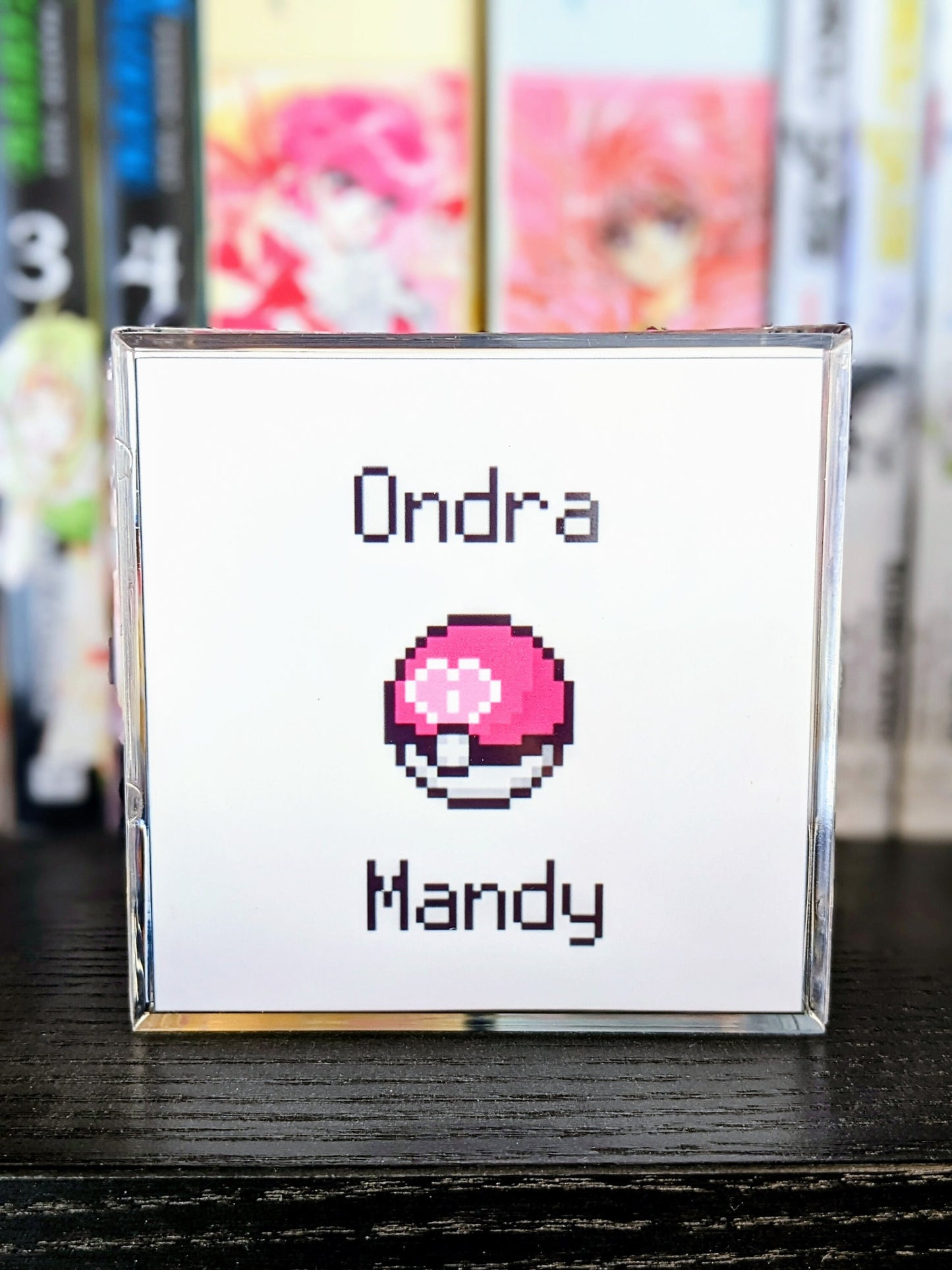Trans Pikachu Pokemon couple 3D cube diorama